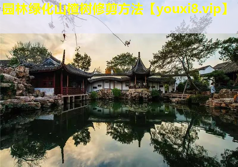 园林绿化山楂树修剪方法