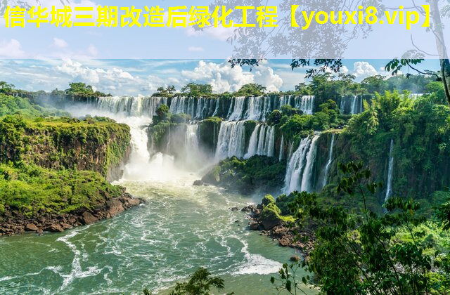 信华城三期改造后绿化工程